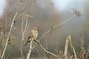 BUITEN BEELD Foto: 190585
