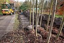 BUITEN BEELD Foto: 190595