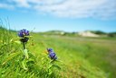 BUITEN BEELD Foto: 190807