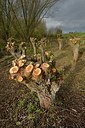BUITEN BEELD Foto: 191068