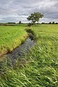 BUITEN BEELD Foto: 191119