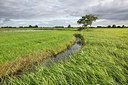 BUITEN BEELD Foto: 191120