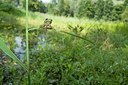 BUITEN BEELD Foto: 191177