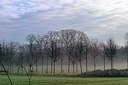 BUITEN BEELD Foto: 191428