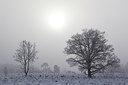 BUITEN BEELD Foto: 191537