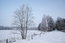 BUITEN BEELD Foto: 191552