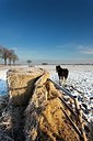 BUITEN BEELD Foto: 191648