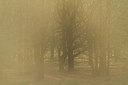 BUITEN BEELD Foto: 191976
