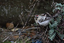 BUITEN BEELD Foto: 192006