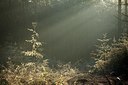 BUITEN BEELD Foto: 192059