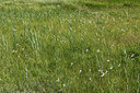 BUITEN BEELD Foto: 192137