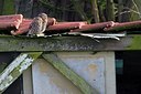 BUITEN BEELD Foto: 192282