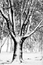BUITEN BEELD Foto: 192384