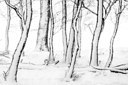 BUITEN BEELD Foto: 192386