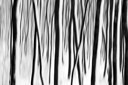 BUITEN BEELD Foto: 192399