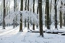 BUITEN BEELD Foto: 192548