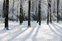 BUITEN BEELD Foto: 192549