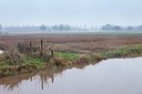 BUITEN BEELD Foto: 192554