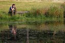 BUITEN BEELD Foto: 192617