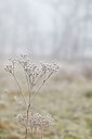 BUITEN BEELD Foto: 192641