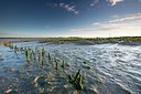 BUITEN BEELD Foto: 192643