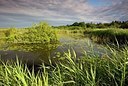 BUITEN BEELD Foto: 192645