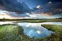 BUITEN BEELD Foto: 192651