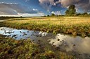 BUITEN BEELD Foto: 192653