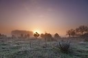 BUITEN BEELD Foto: 192660