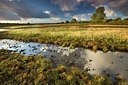 BUITEN BEELD Foto: 192664