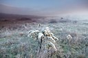 BUITEN BEELD Foto: 192665