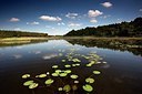 BUITEN BEELD Foto: 192670