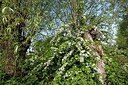 BUITEN BEELD Foto: 192692
