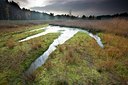 BUITEN BEELD Foto: 192712