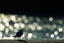 BUITEN BEELD Foto: 192758