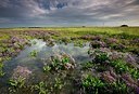 BUITEN BEELD Foto: 192771