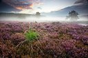 BUITEN BEELD Foto: 192792