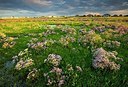 BUITEN BEELD Foto: 192801