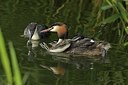 BUITEN BEELD Foto: 192823