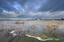 BUITEN BEELD Foto: 192998