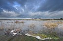 BUITEN BEELD Foto: 192998