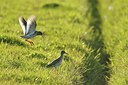 BUITEN BEELD Foto: 193035