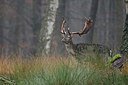 BUITEN BEELD Foto: 193281