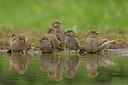BUITEN BEELD Foto: 193302