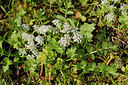 BUITEN BEELD Foto: 193370