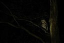 BUITEN BEELD Foto: 193382