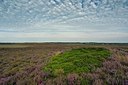 BUITEN BEELD Foto: 193396