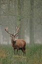 BUITEN BEELD Foto: 193428