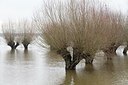 BUITEN BEELD Foto: 193458