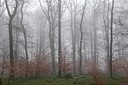 BUITEN BEELD Foto: 193477